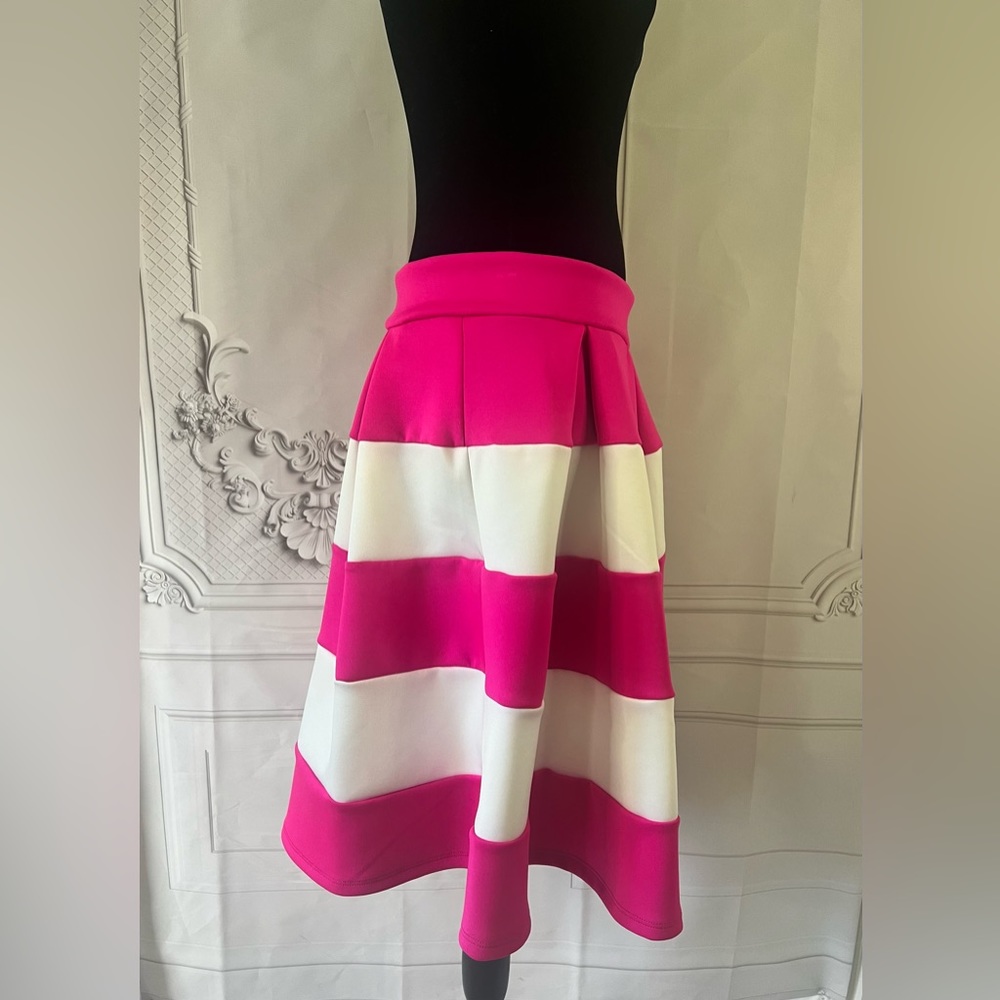 Charlotte Russe Striped Skater Pleated Skirt - Picture 3 of 6